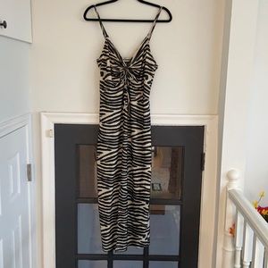 Zara Trafaluc S/S 18 Zebra Print Dress